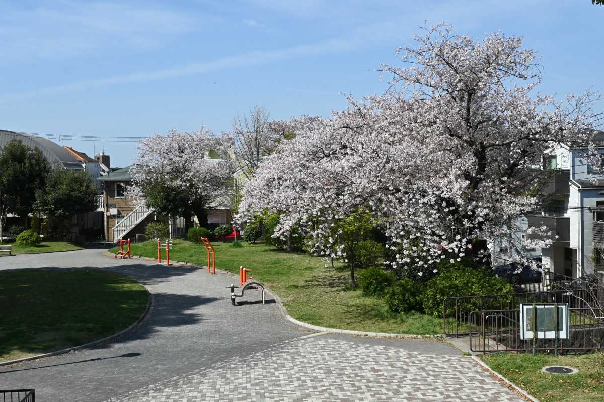 野毛 山 公園